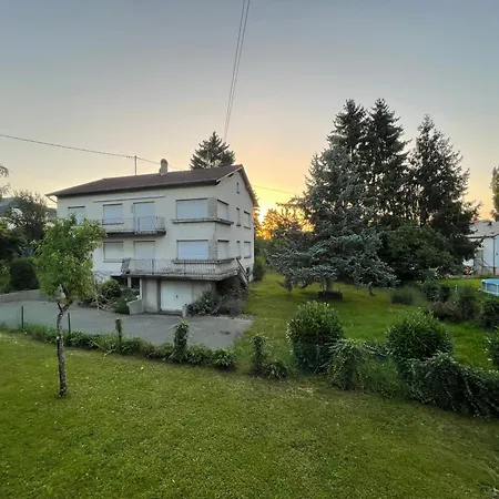 Grand Entoure De Verdure Mulhouse