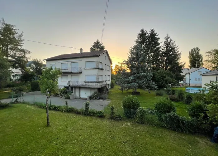 Grand Entoure De Verdure Mulhouse