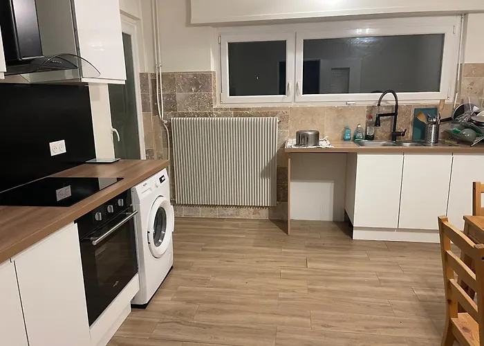 Appartement Grand Entoure De Verdure Mulhouse