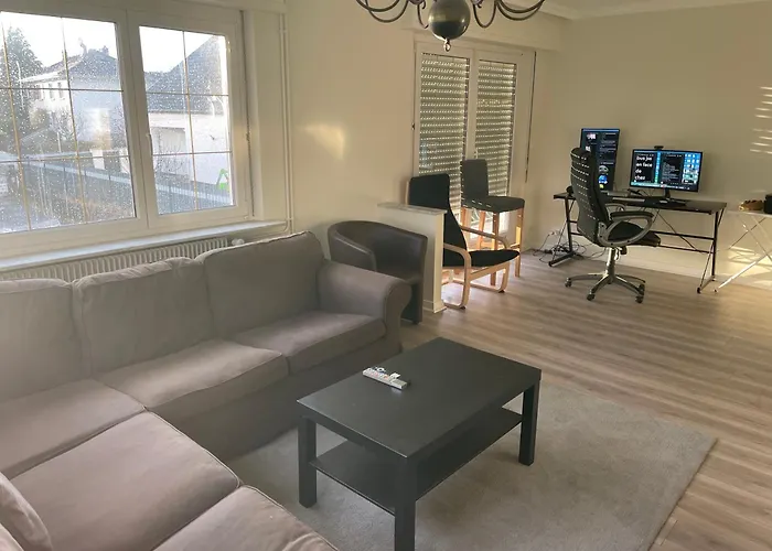 Appartement Grand Entoure De Verdure Mulhouse